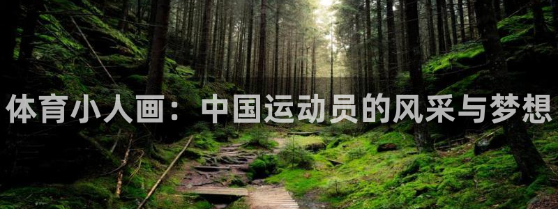 利记官方正版app神州：体育小人画：中国运动员的风采