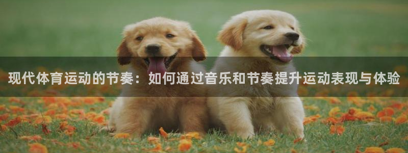 利记官网下载招商电话地址查询：现代体育运动的节奏：如