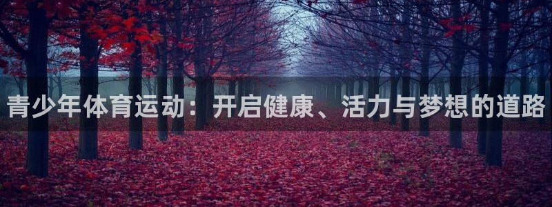 利记官网下载平台是正规平台吗：青少年体育运动：开启健康、活力
