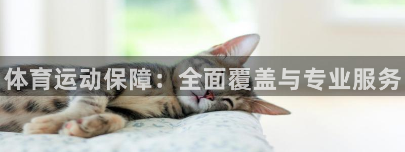利记官网下载招商电话地址查询：体育运动保障：全面覆盖