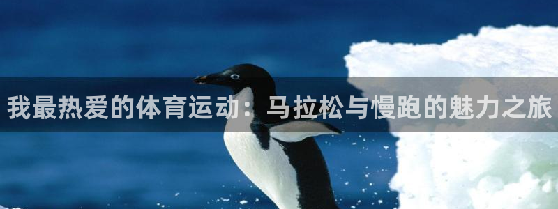 利记官网下载平台注册流程视频：我最热爱的体育运动：马