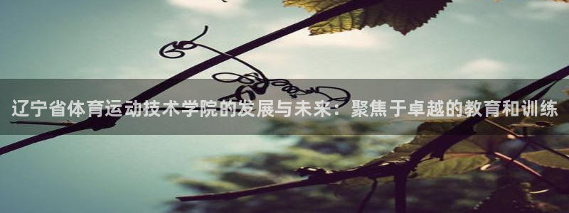 利记官方正版app开户：辽宁省体育运动技术学院的发展