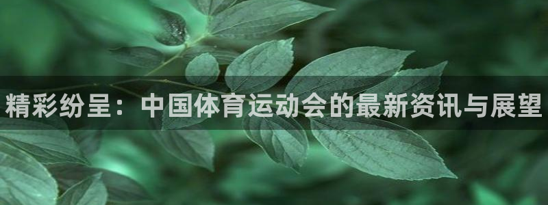 利记官网下载招商电话号码是多少号：精彩纷呈：中国体育