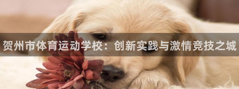 利记官网下载平台：贺州市体育运动学校：创新实践与激情