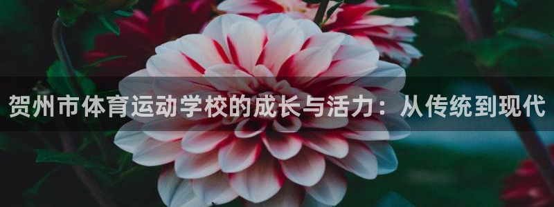利记官网下载招商电话号码是多少啊：贺州市体育运动学校的成长与