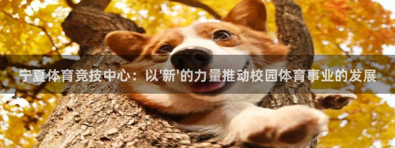 利记官方正版app娱乐是那个系列的台子：宁夏体育竞技中心：以