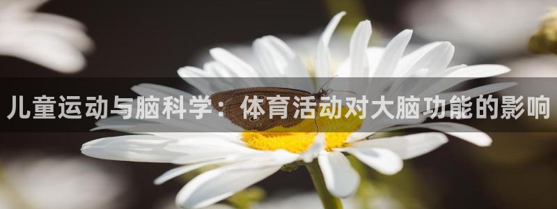 利记官网下载平台假的吗是真的吗吗：儿童运动与脑科学：体育活动