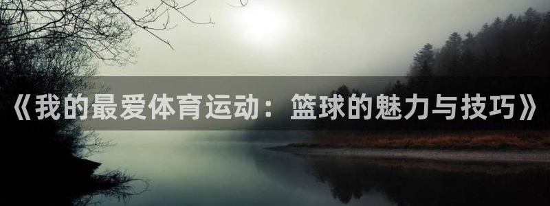 海南利记官网下载：《我的最爱体育运动：篮球的魅力与技巧》