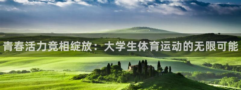 利记官方正版app娱乐下载：青春活力竞相绽放：大学生体育运动