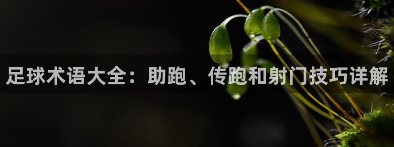 利记官网下载招商电话号码查询