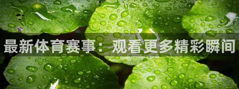 注册利记官方正版app：最新体育赛事：观看更多精彩瞬