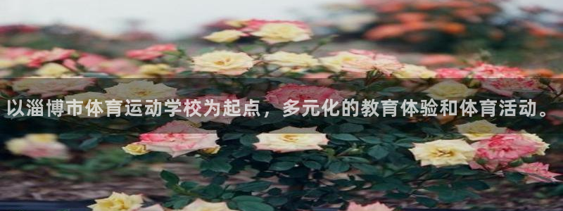 利记官方正版app娱乐下载：以淄博市体育运动学校为起