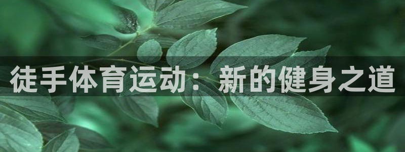 利记官方平台体育：徒手体育运动：新的健身之道