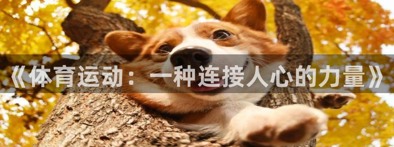 利记官方平台体育：《体育运动：一种连接人心的力量》