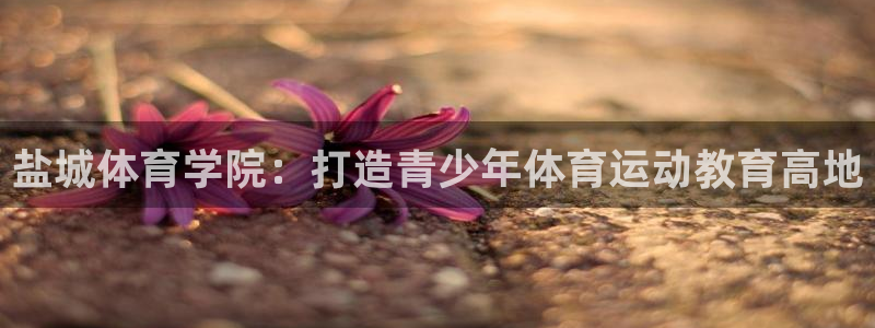 利记官网下载招商电话地址：盐城体育学院：打造青少年体