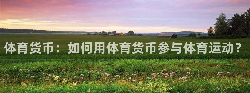 利记官方正版app集团简介：体育货币：如何用体育货币