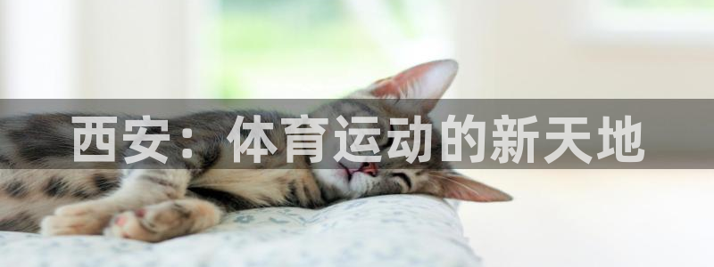 利记官网下载联系电话