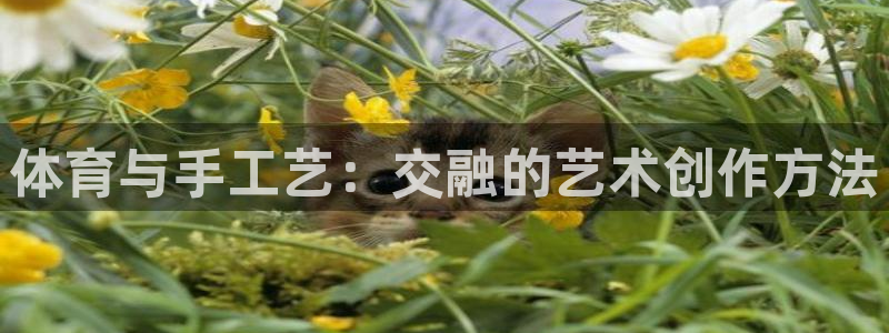 利记官方正版app娱乐代理怎么样：体育与手工艺：交融的艺术创