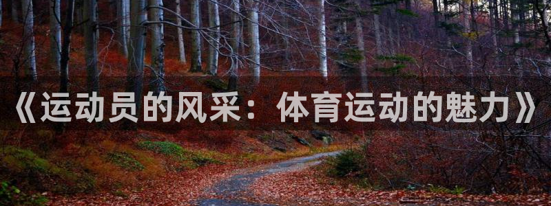利记官网下载平台注册流程图：《运动员的风采：体育运动