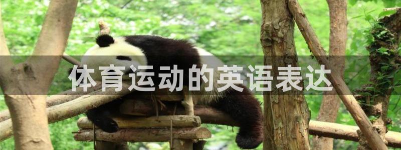 利记官网下载招商电话号码查询：体育运动的英语表达