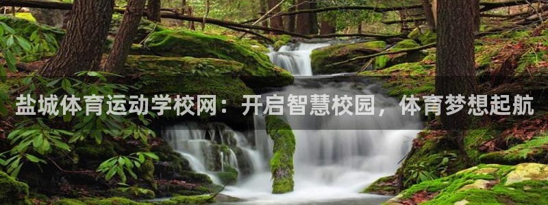 利记官网下载招商电话号码：盐城体育运动学校网：开启智慧校园，