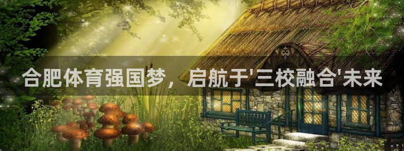 利记官网下载平台是正规平台吗知乎