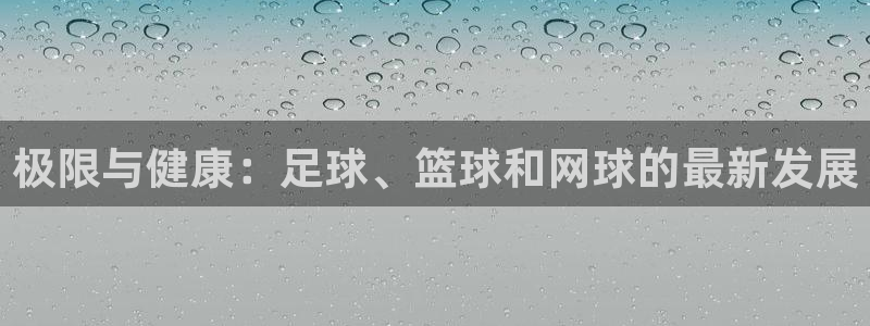 利记官方正版app代理