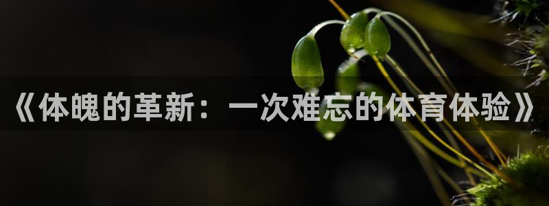 利记sbobet的最新进展