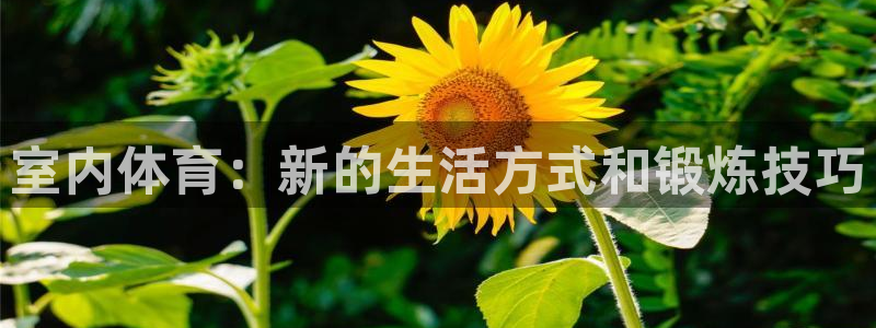 利记注册平台