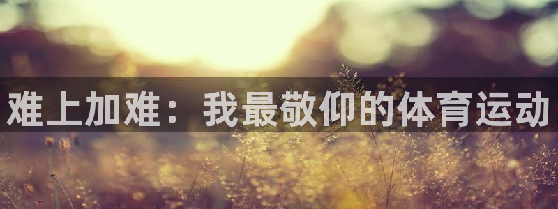 利记SBO是合法的吗