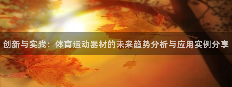 利记app怎么样：创新与实践：体育运
