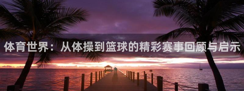 利记入口：体育世界：从体操到篮球的精
