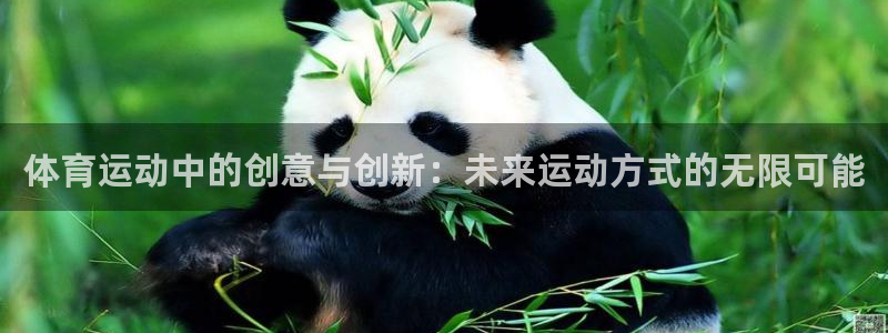 利记SBOBET官方网站：体育运动中的创意与创新：未来运动方