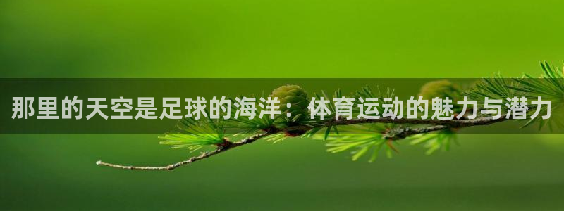 利记sbob欧赔分析：那里的天空是足