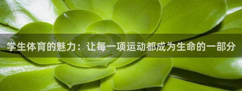  利记轮渡：学生体育的魅力：让每一项运动都成为生命的一部分