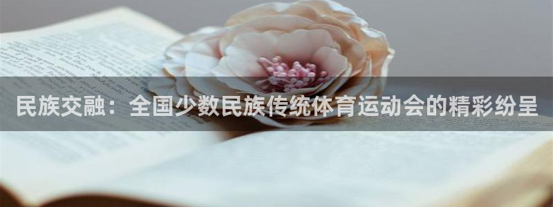  利记网址是多少：民族交融：全国少数民族传统体育运动会的精彩纷