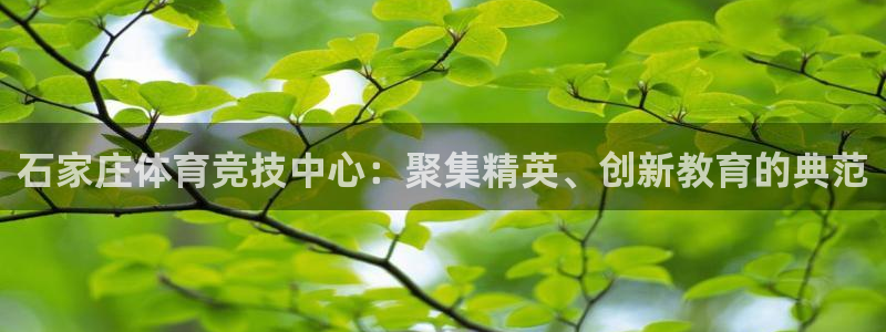 利记官网入口：石家庄体育竞技中心：聚集精英、创新教育的典范